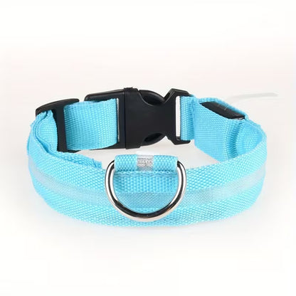 TekPaws Glow Collar
