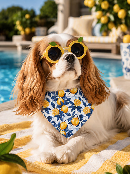 TekPaws Citrus Coast Bandana