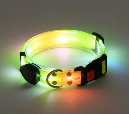 TekPaws LED Luminous Rechargeable Dog Collar
