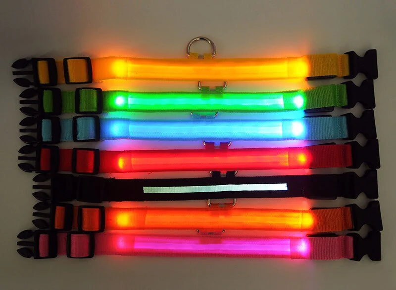 TekPaws Glow Collar