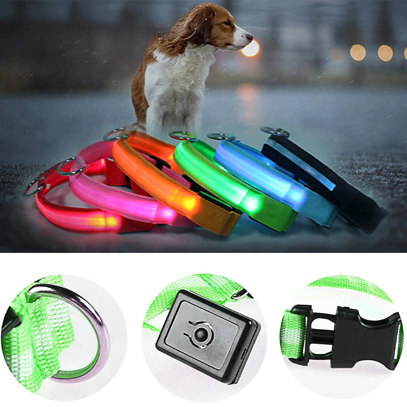 TekPaws Glow Collar