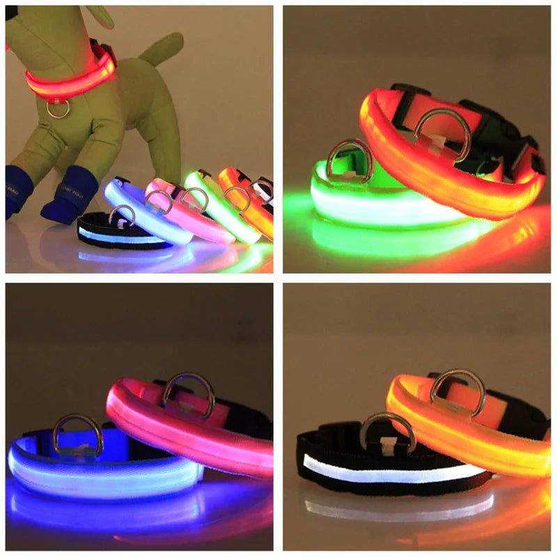 TekPaws Glow Collar