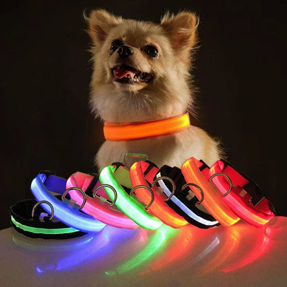 TekPaws Glow Collar