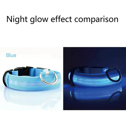 TekPaws Glow Collar