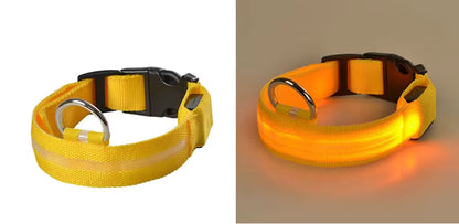 TekPaws Glow Collar